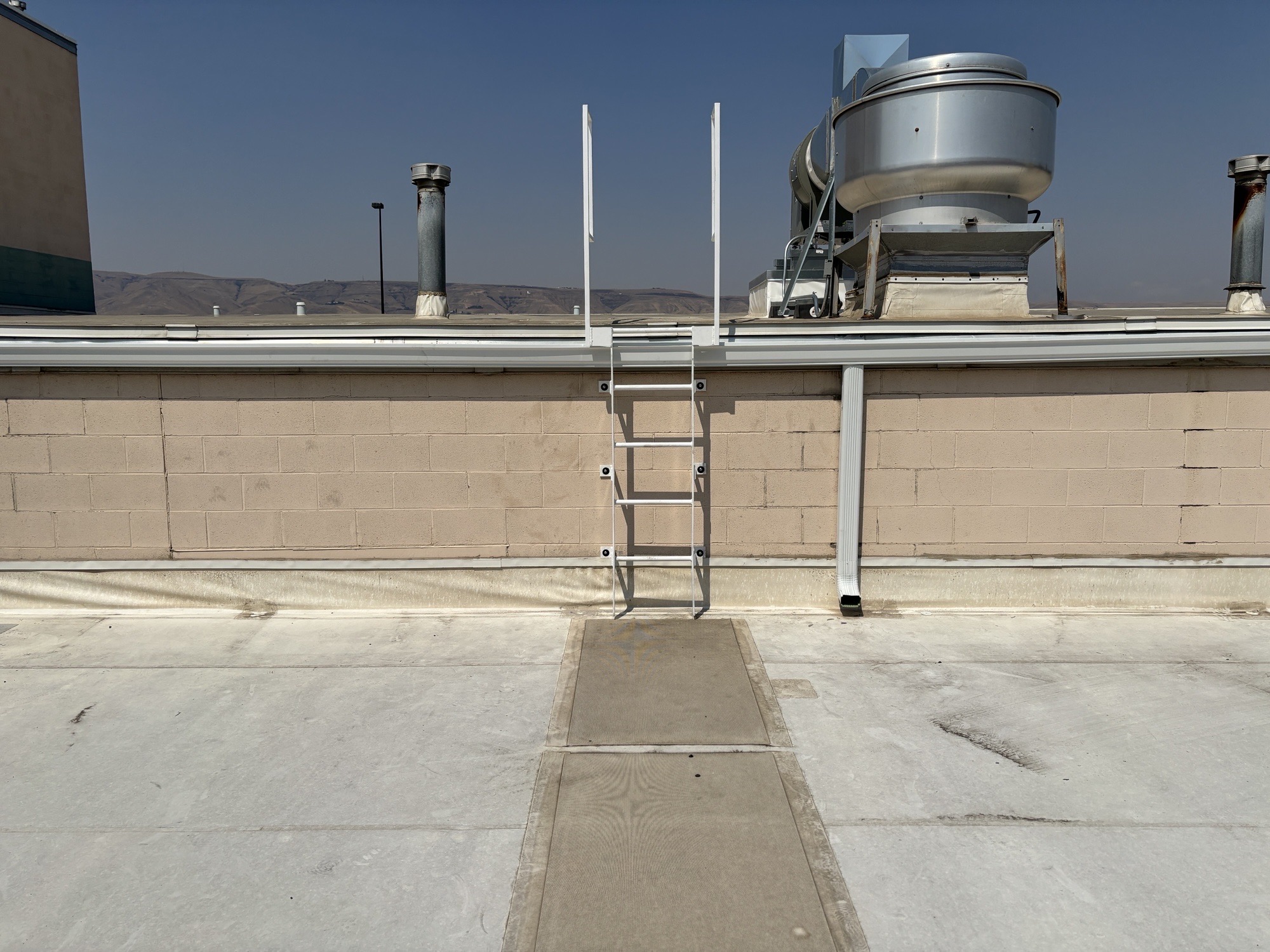 Caged roof access ladder installed on a commercial building wall